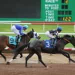 Two horses with jockeys race around a track.