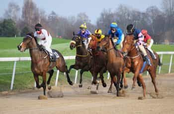 Six jockeys racing their horses at full speed during a race at an outdoor horse racing track.